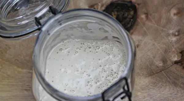 Przechowywanie zakwasu: Jak utrzymać starter w formie na lata?